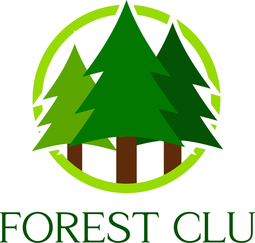 My Blog-My WordPress Blog